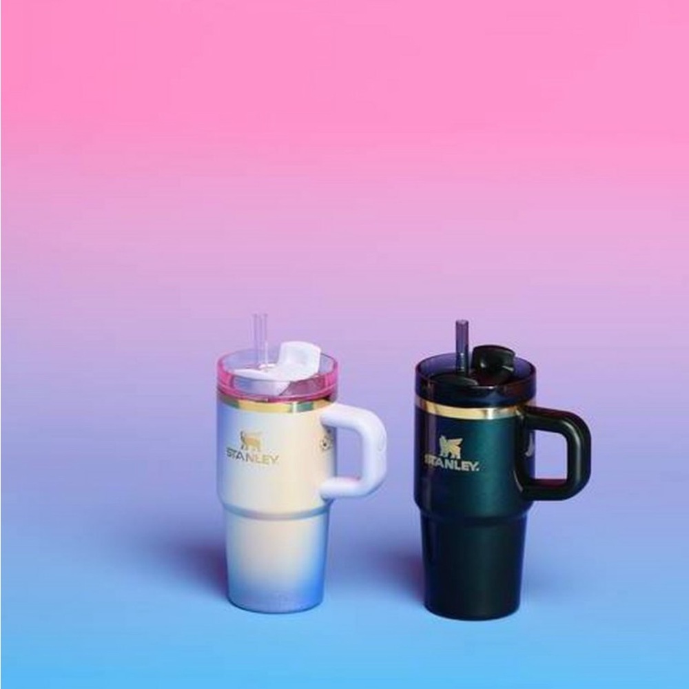 Stanley Wicked 2025 Elphaba for Good 20oz Flowstate Quencher Tumbler LE NWT SO - Picture 3 of 7